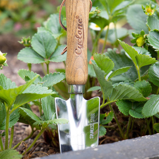 Cyclone Bulb Trowel - Stainless Steel - 300mm - Timber Handle - Durable – view 2 - Auzzistore