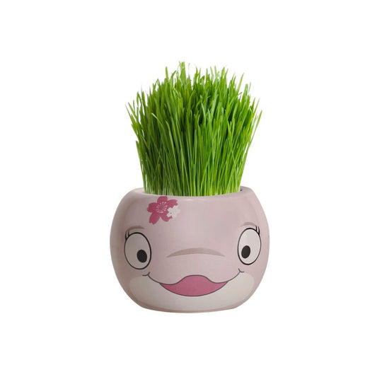 Mr Fothergill Grass Hair Bee Grow Kit - 4 Animal Shapes - 60mm x 47mm x 60mm – view 2