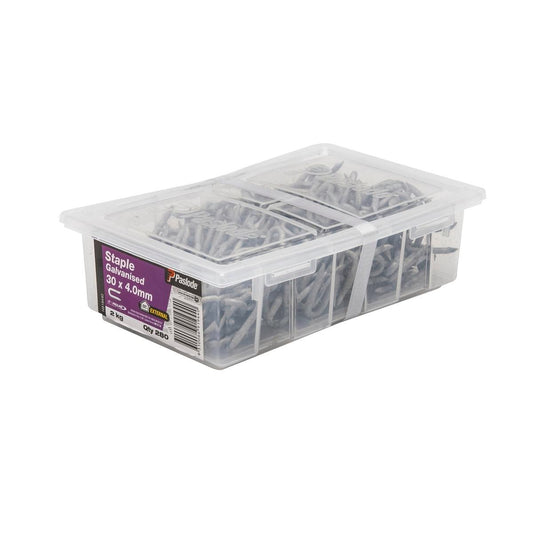 Paslode Galvanised Staple Nail 30mm x 4mm 2kg Durable Fixing Solution - Auzzistore