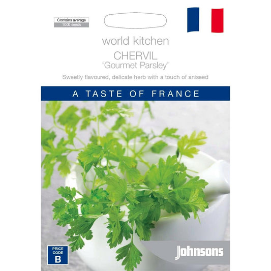 Johnsons World Kitchen Chervil Seeds - 95mm - Annual Herb - Intense Flavor - Auzzistore
