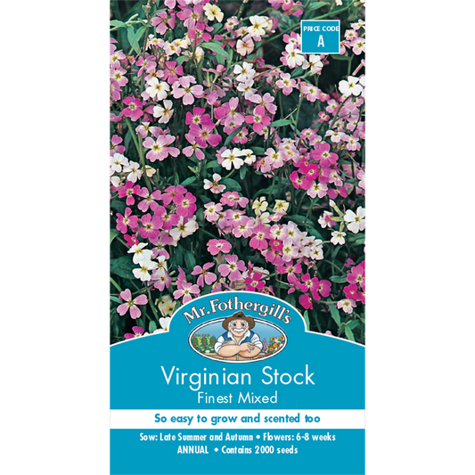 Mr Fothergill Virginian Stock Flower Seeds 75mm Hardy Scented Blooms - Auzzistore
