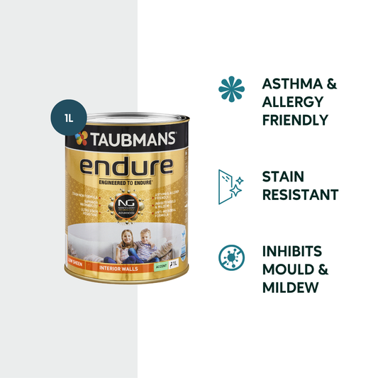 Taubmans 1L Accent Low Sheen Endure Interior Walls Paint - Durable - Low Odour – view 2 - Auzzistore