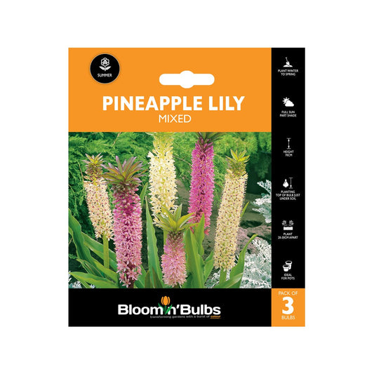 Bloomin Bulbs Pineapple Lily Mixed 3 Pack - 3 Pack - 60-90cm - Pastel Flowers - Auzzistore