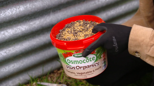 Scotts Osmocote Plus Organics - 3.5kg - Granular - Vegetable & Herb Use – view 2 - Auzzistore