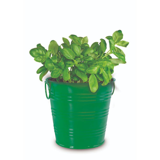 Mr Fothergill Basil Grow Kit 111mm Metal Pot Seeds Soil Easy Grow – view 2 - Auzzistore