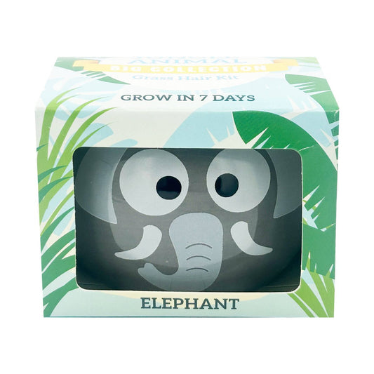 Mr Fothergill's Large Elephant Grass Hair Kit - 500 mL - Green - Realistic Effects - Auzzistore