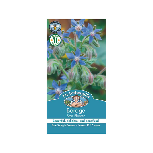 Mr Fothergill Borage Star Flower Seeds - 75mm - Seeds - Edible Flowers - Auzzistore