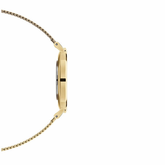 Daniel Wellington Petite Evergold 28mm Women's Watch Gold Mesh Strap DW00100350 — image 2