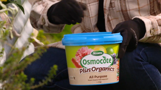 Scotts Osmocote Plus Organics - 1.5kg - Controlled Release Fertiliser - All Purpose – view 2 - Auzzistore