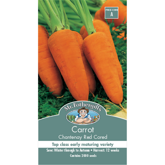 Mr Fothergill Chantenay Red Carrot Seeds 75mm Orange Sweet Flavor - Auzzistore