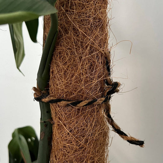 Pillar Coco Twine 25m - Black and Natural Twist - Biodegradable - 3.5mm – view 2 - Auzzistore