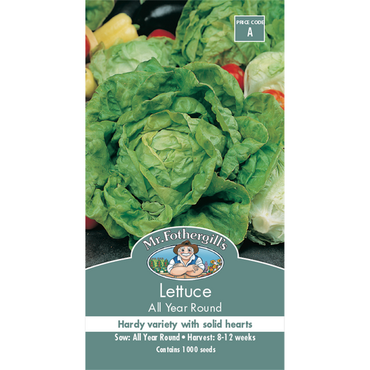 Mr Fothergill All Year Round Lettuce Seeds 75mm Green Nutrient Rich - Auzzistore