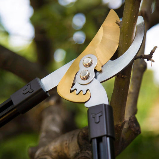 Trojan Geared Telescopic Bypass Lopper - 600mm - Aluminium - Ergonomic Grips – view 2 - Auzzistore