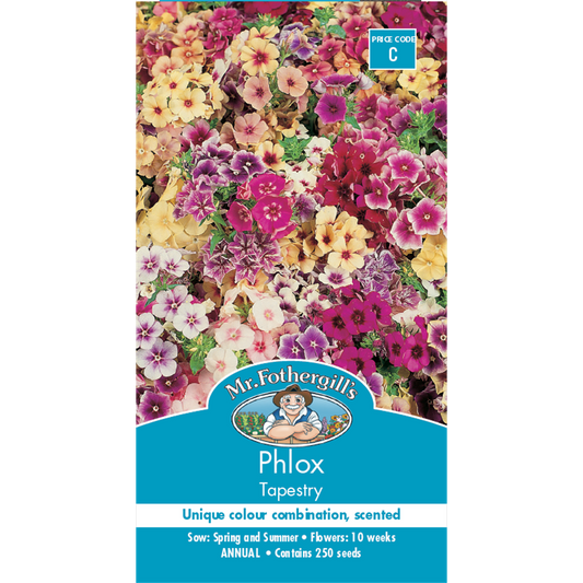Mr Fothergill Phlox Seeds - 45cm - Half Hardy Annual - Fragrant Flowers - Auzzistore