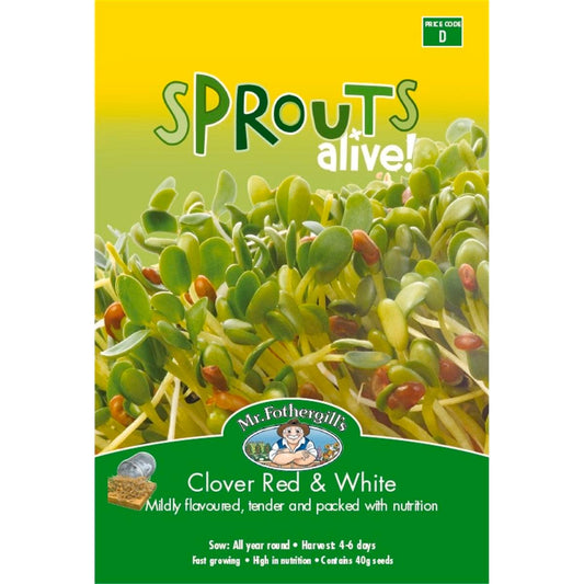 Mr Fothergill Sprouts Alive Clover Red White Seeds 110mm Nutritious - Auzzistore