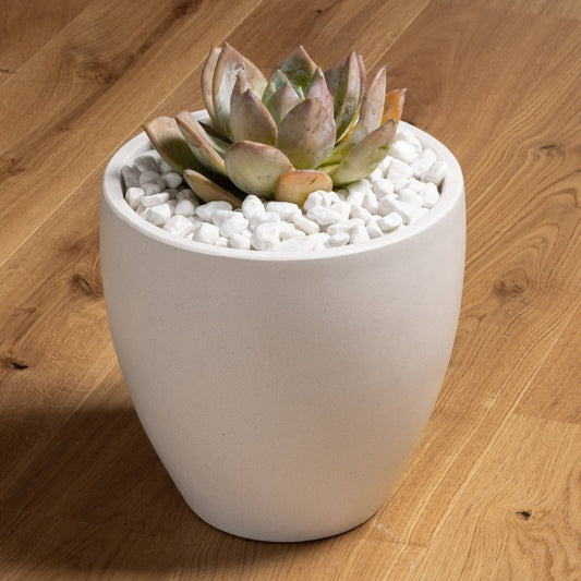 Tuscan Path Decorative White Pebbles 2kg 15-20mm - Indoor/Outdoor Use – view 2 - Auzzistore
