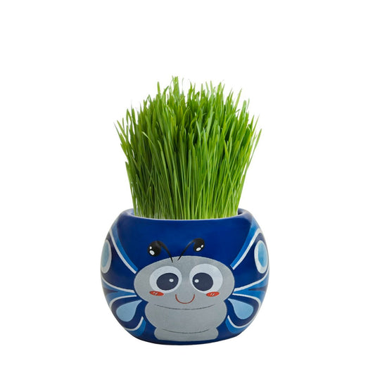 Mr Fothergill Grass Hair Butterfly Grow Kit - 1 Animal Pot - 60mm x 60mm – view 2 - Auzzistore