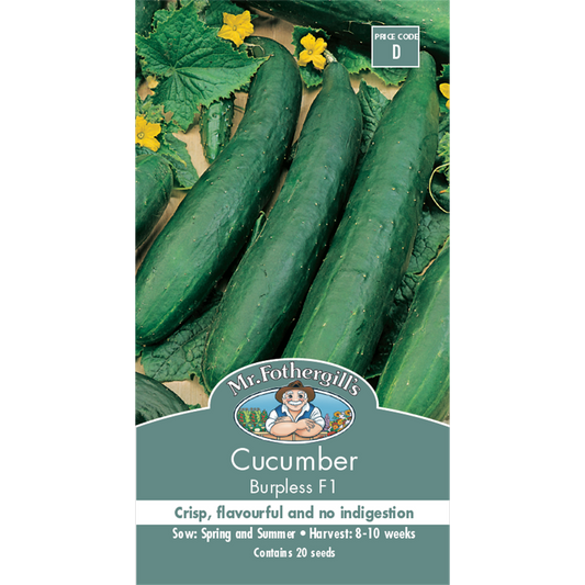 Mr Fothergill Cucumber Seeds - 10 Weeks - Vegetable - Burpless Variety - Auzzistore