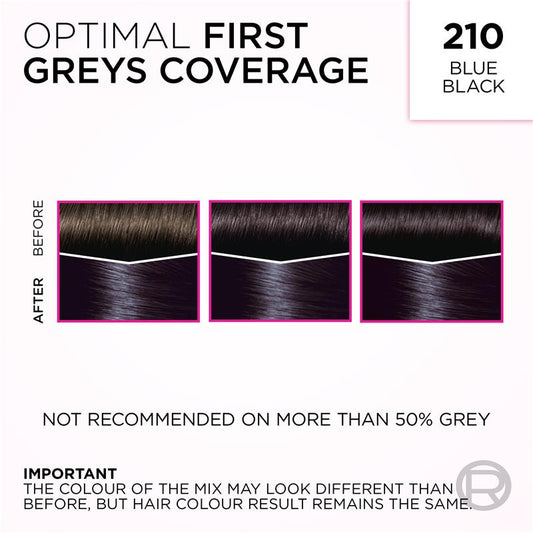 L'Oreal Paris Casting Creme Gloss - 210 Blue Black (Ammonia Free) - 1 Unit-Auzzi Store