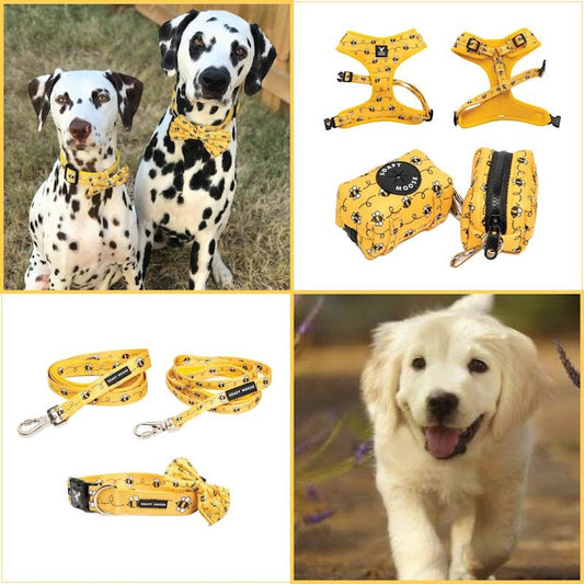 Soapy Moose Extra Large Dog Accessory Pack - Adjustable Neoprene Harness