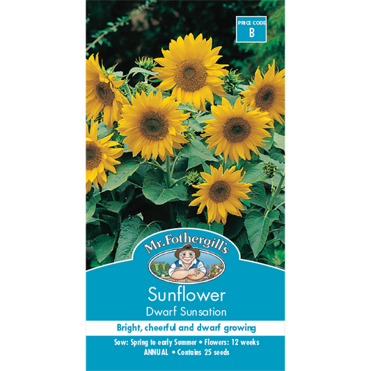 Mr Fothergill Sunflower Dwarf Sunsation Seeds 45cm Seed Quick Flower - Auzzistore