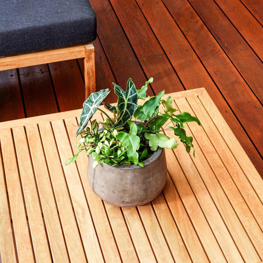 Cabot 1L Garden Furniture Oil - Water Based - UV Protection - Durable – view 2 - Auzzistore