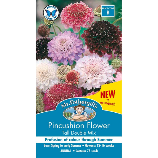 Mr Fothergill Pincushion Scabious Mixed Seeds 90cm Tall Attracts Bees - Auzzistore