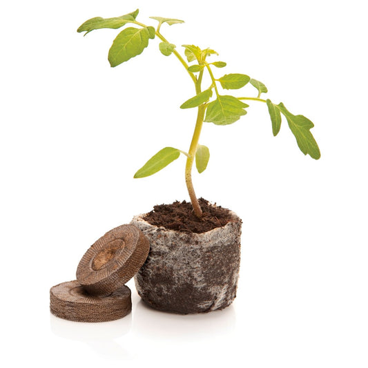Mr Fothergill Jiffy Peat Pellets - 36mm - Compressed Peat - Seed Raising – view 2 - Auzzistore