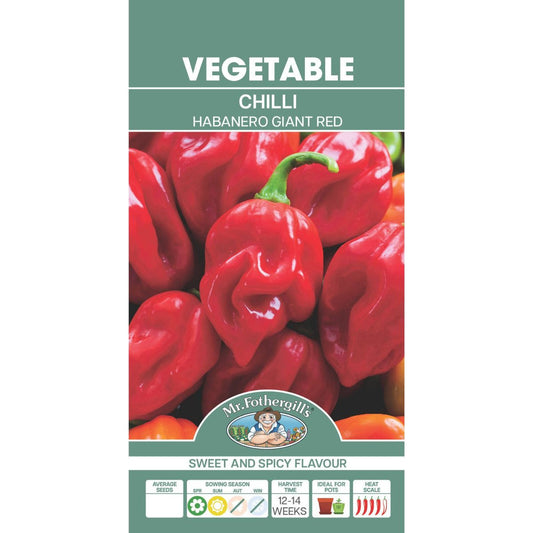 Mr Fothergill Chilli Habanero Giant Red Seeds - 30 Pack - 75mm x 145mm - Extra Hot - Auzzistore
