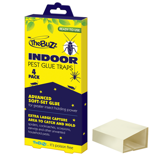 The Buzz Indoor Pest Glue Trap - 4 Pack - Glue - Non Toxic - Effective - Auzzistore