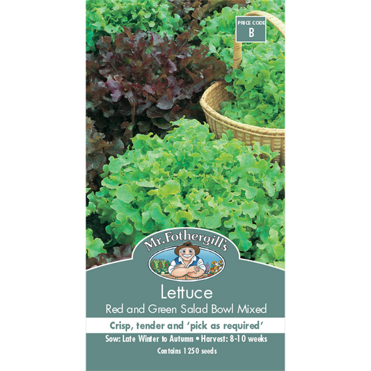 Mr Fothergill Lettuce Seeds - Red Green Salad Bowl - 75mm - Crisp Tender - Auzzistore