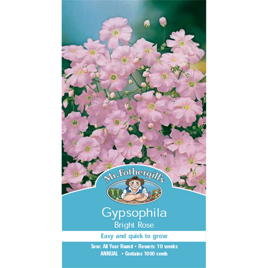 Mr Fothergill Gypsophila Flower Seeds - 60cm - Hardy Annual - Easy Grow - Auzzistore