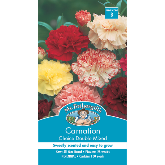Mr Fothergill Carnation Seeds - 150 Pack - Assorted Colours - Sweetly Scented - Auzzistore