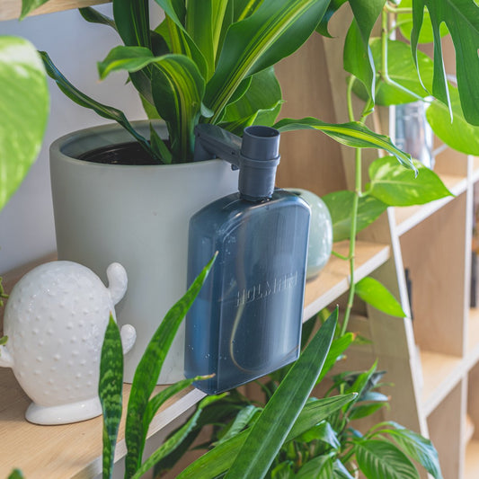 Holman Watermate Self Watering Tank 750ml - Efficient Plant Hydration – view 2 - Auzzistore