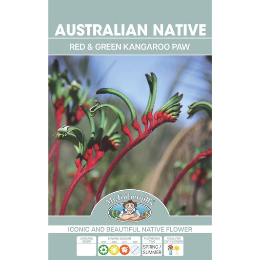 Mr Fothergill Kangaroo Paw Flower Seeds - Red Green - 100 Seeds - Hardy - Auzzistore