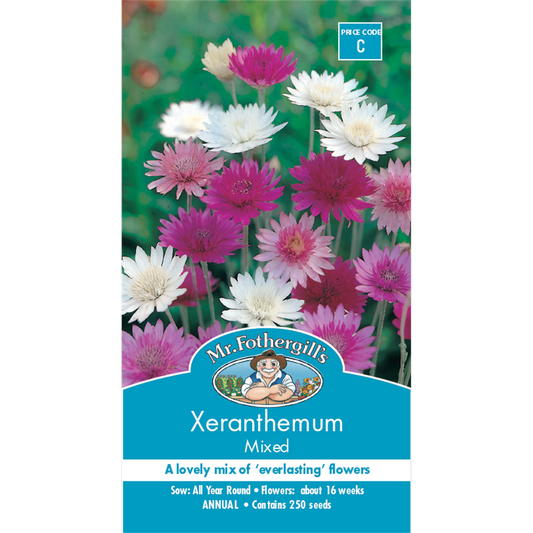 Mr Fothergill Xeranthemum Flower Seed - 75cm - Hardy - Dried Flowers - Auzzistore