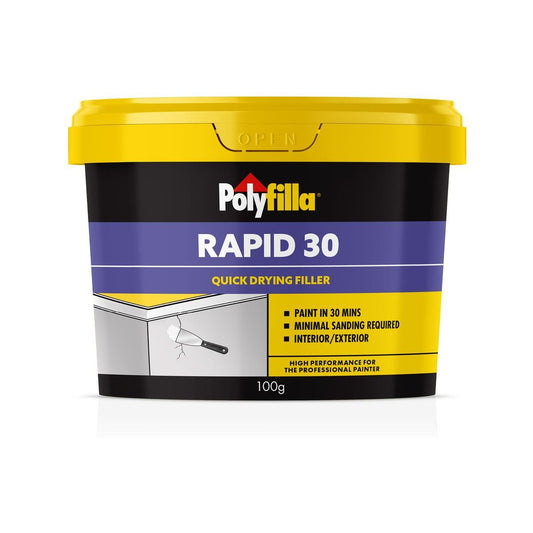 Poly 100g Rapid Interior Filler - 100g Polyurethane Foam - Fast Drying - Auzzistore