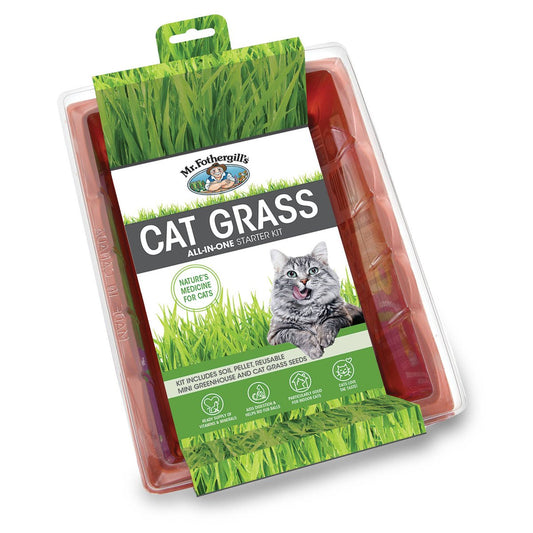 Mr Fothergill's Cat Grass Seed Raiser Kit - 160mm Greenhouse - Aid Digestion - Auzzistore