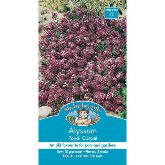 Mr Fothergill Alyssum Flower Seeds - 8 Weeks - Dark Violet - Edging Use - Auzzistore