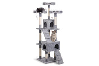 Cat Furniture & Scratchers