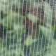 Backyard Farmer Anti Bird Net - 4 x 4m - 5mm - White - UV-Resistant