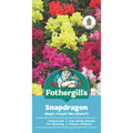 Mr Fothergill Snapdragon Magic Carpet Flower Seeds 75mm Dwarf Hardy