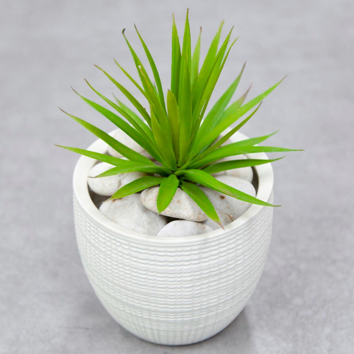 Tuscan Path Natural Stone White Pebbles 1.5kg 30-50mm Decorative