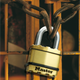 Master Lock Excell Padlock - 50mm - Brass - Laminated Steel - Weather Resistant