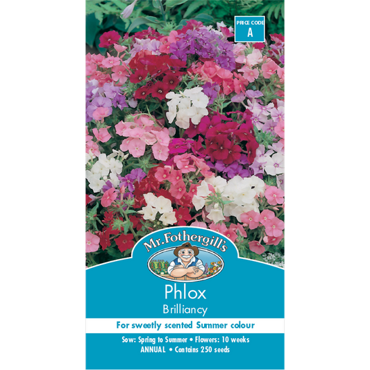 Mr Fothergill Phlox Brilliancy Flower Seeds 10 Weeks Annual Colorful - Auzzistore