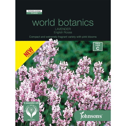 Johnsons Lavender - 35 Seeds - Seed - Fragrant Pink Blooms - Auzzistore
