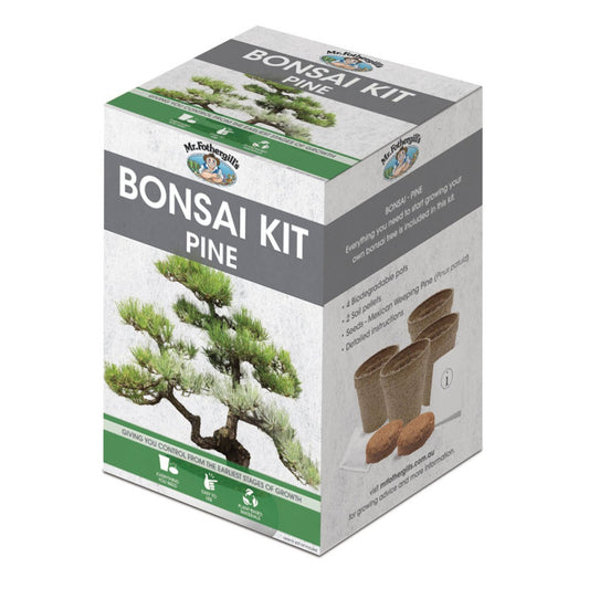 Mr Fothergill Bonsai Kit - Mexican Weeping Pine - 4 Pots - 90mm x 130mm - Auzzistore