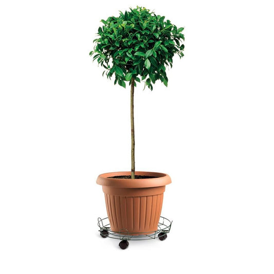 Eden Pot Trolley - 33cm - Heavy Duty - Indoor/Outdoor Use – view 2