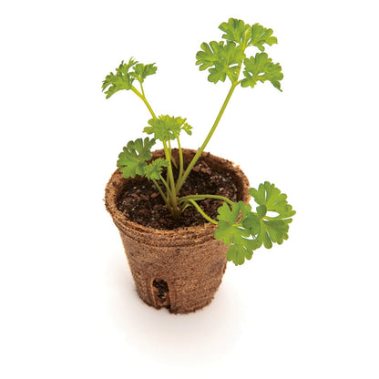 Mr Fothergill Jiffy Easy Starter Set 14 Pots Compressed Peat Easy Use