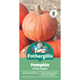 Mr Fothergill S Golden Nugget Pumpkin Seeds - Medium - Seed - Tasty